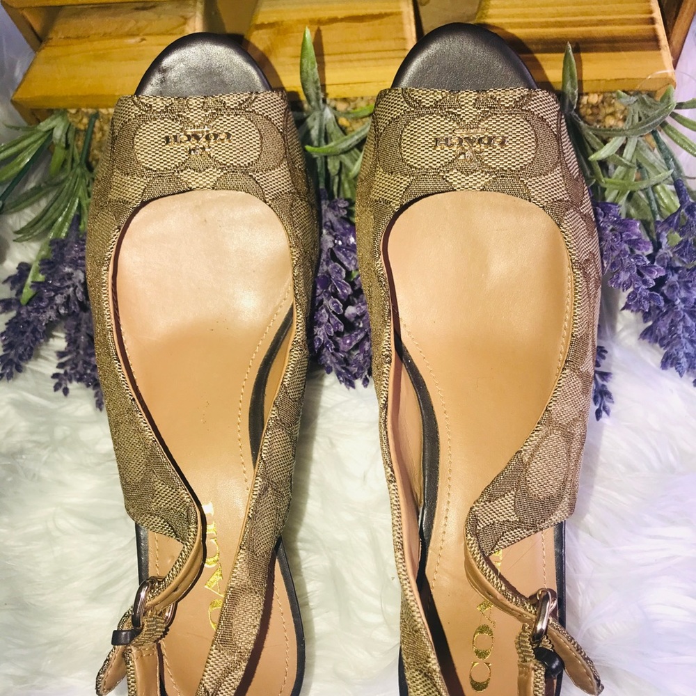 Wedges coach